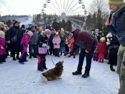 31.Finał WOŚP w Wiśle